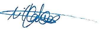 Signature of M. Llanos Tobarra Abad