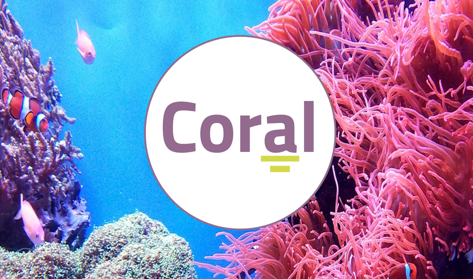 Las competencias orales y el aprendizaje de lenguas en el S.XXI (CORAL) (4ed. 2026) CORAL_004