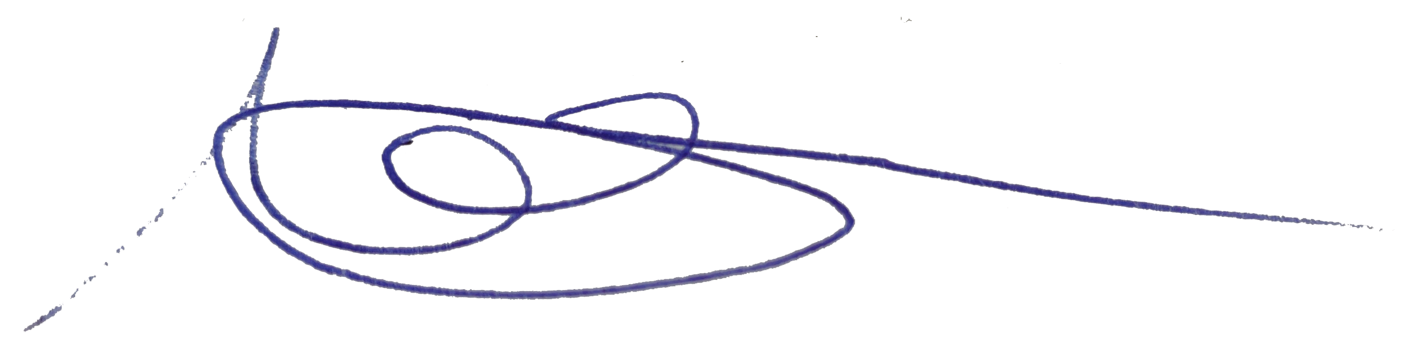 Signature of Paloma Ubeda Mollá