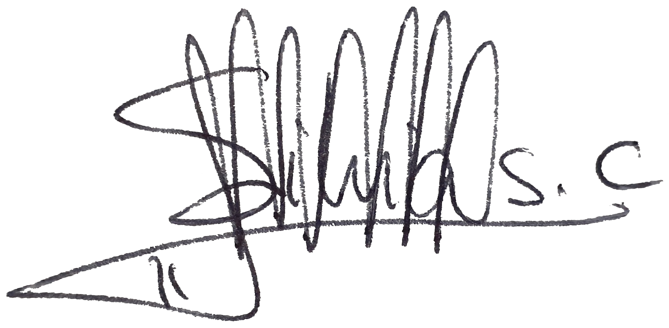 Signature of Silvia Sánchez Calderón