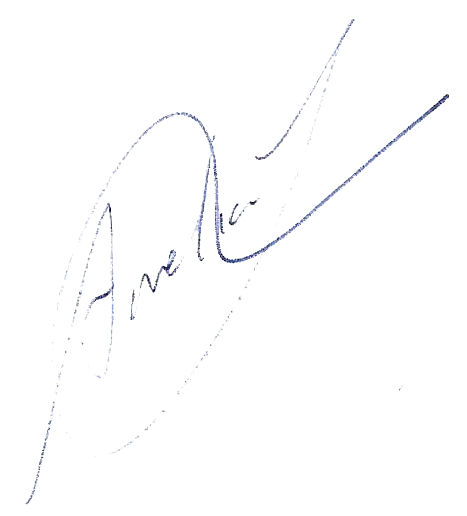 Signature of AMELIA SANZ CABRERIZO 
